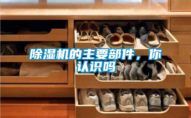 除濕機的主要部件，你認識嗎