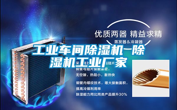 工業(yè)車(chē)間除濕機 除濕機工業(yè)廠(chǎng)家