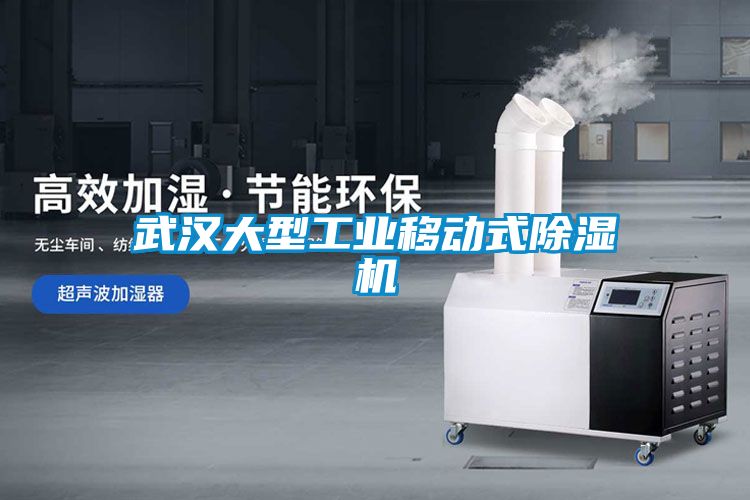 武漢大型工業(yè)移動(dòng)式除濕機