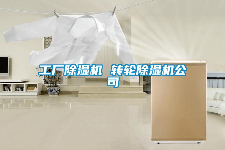 工廠(chǎng)除濕機 轉輪除濕機公司
