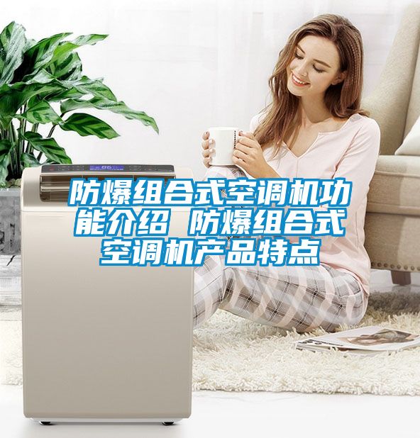 防爆組合式空調機功能介紹 防爆組合式空調機產(chǎn)品特點(diǎn)