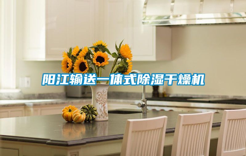 陽(yáng)江輸送一體式除濕干燥機
