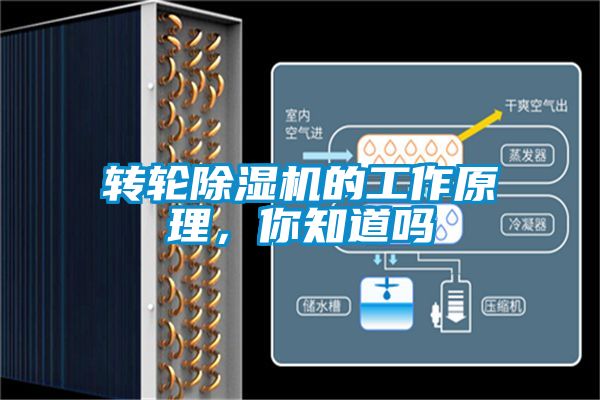 轉輪除濕機的工作原理，你知道嗎
