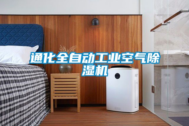 通化全自動(dòng)工業(yè)空氣除濕機