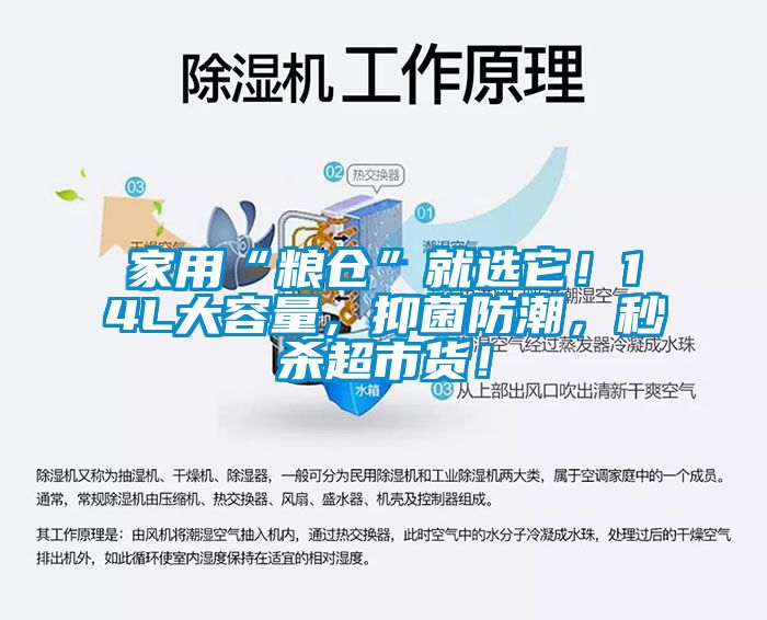 家用“糧倉”就選它！14L大容量，抑菌防潮，秒殺超市貨！