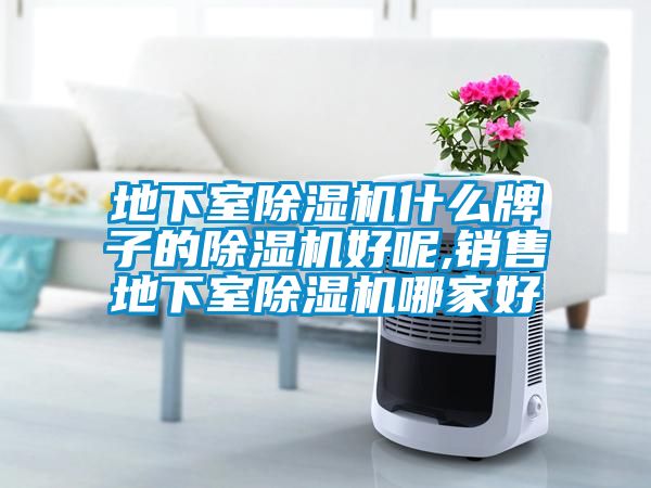 地下室除濕機什么牌子的除濕機好呢,銷(xiāo)售地下室除濕機哪家好