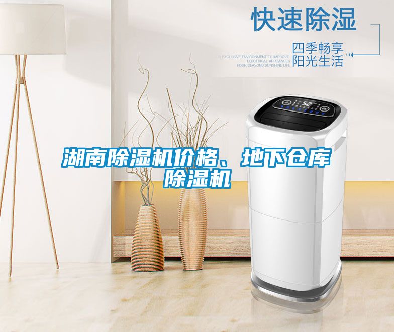 湖南除濕機價(jià)格、地下倉庫除濕機