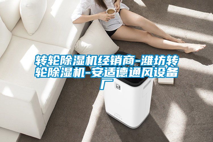 轉輪除濕機經(jīng)銷(xiāo)商-濰坊轉輪除濕機-安適德通風(fēng)設備廠(chǎng)
