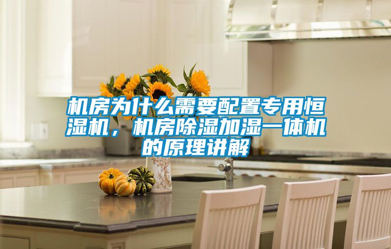 機房為什么需要配置專(zhuān)用恒濕機，機房除濕加濕一體機的原理講解