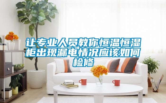 讓專(zhuān)業(yè)人員教你恒溫恒濕柜出現漏電情況應該如何檢修