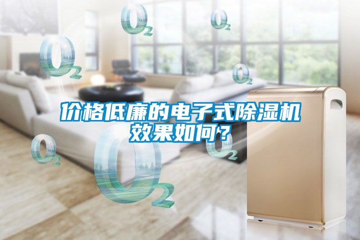 價(jià)格低廉的電子式除濕機效果如何？