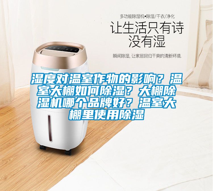濕度對溫室作物的影響？溫室大棚如何除濕？大棚除濕機哪個(gè)品牌好？溫室大棚里使用除濕