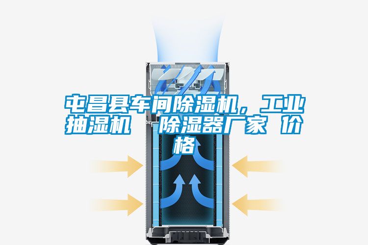 屯昌縣車(chē)間除濕機，工業(yè)抽濕機  除濕器廠(chǎng)家 價(jià)格