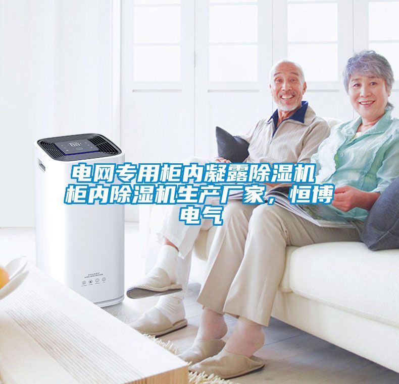 電網(wǎng)專(zhuān)用柜內凝露除濕機 柜內除濕機生產(chǎn)廠(chǎng)家，恒博電氣