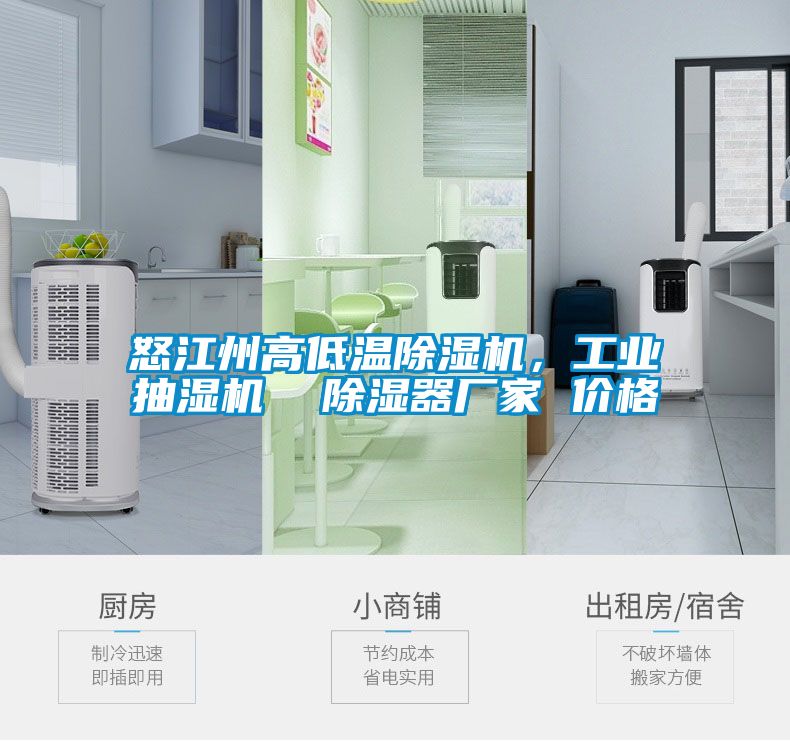 怒江州高低溫除濕機，工業(yè)抽濕機  除濕器廠(chǎng)家 價(jià)格