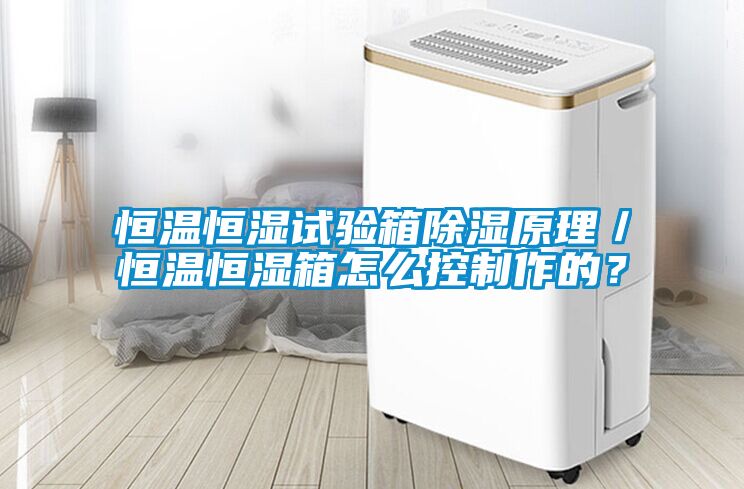 恒溫恒濕試驗箱除濕原理／恒溫恒濕箱怎么控制作的？