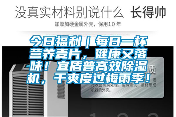 今日福利｜每日一杯營(yíng)養麥片，健康又落味！宜盾普高效除濕機，干爽度過(guò)梅雨季！