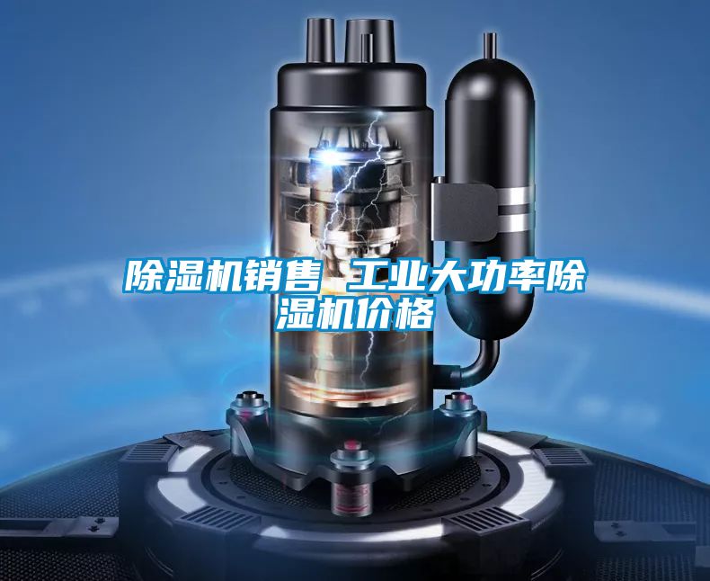 除濕機銷(xiāo)售 工業(yè)大功率除濕機價(jià)格