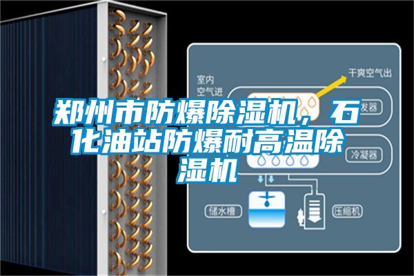 鄭州市防爆除濕機，石化油站防爆耐高溫除濕機