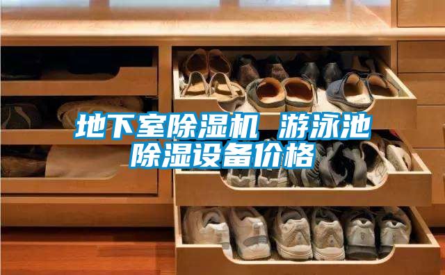 地下室除濕機 游泳池除濕設備價(jià)格