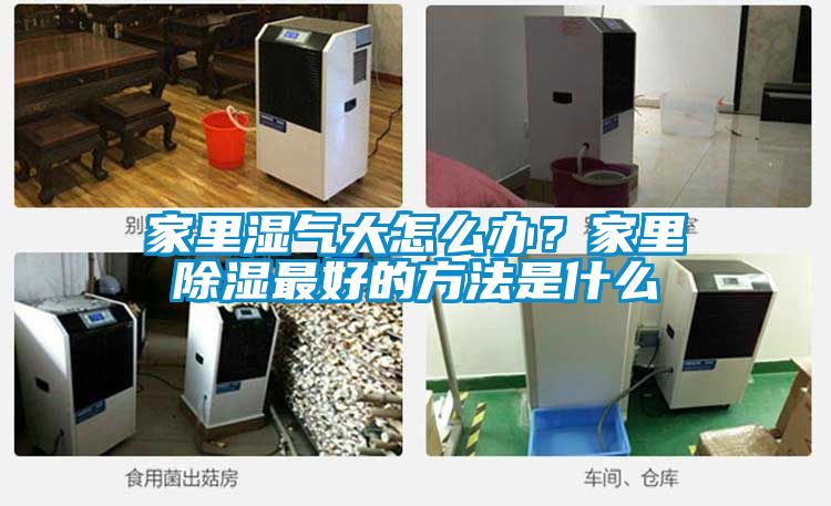 家里濕氣大怎么辦？家里除濕最好的方法是什么