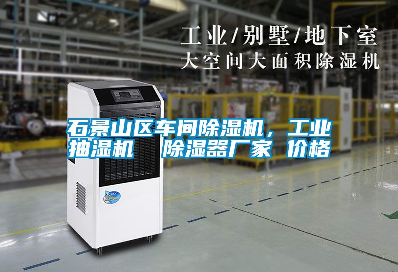石景山區車(chē)間除濕機，工業(yè)抽濕機  除濕器廠(chǎng)家 價(jià)格