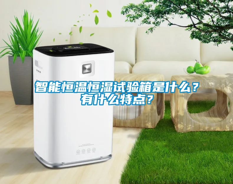 智能恒溫恒濕試驗箱是什么？有什么特點(diǎn)？