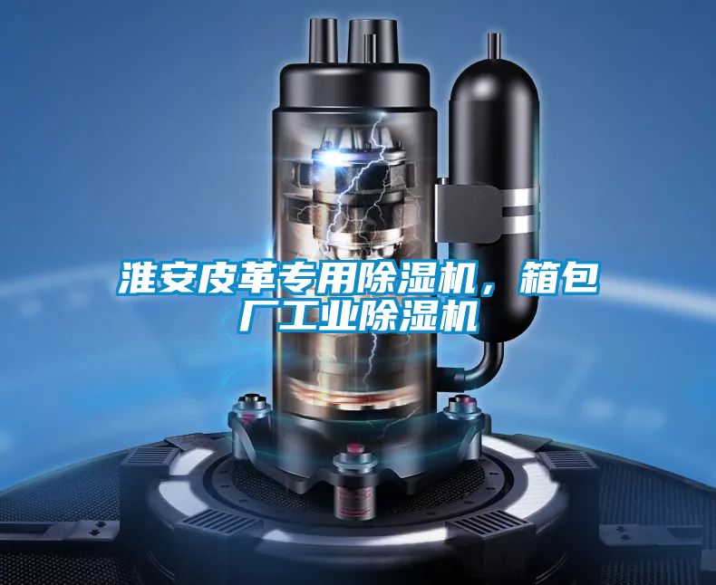 淮安皮革專(zhuān)用除濕機，箱包廠(chǎng)工業(yè)除濕機