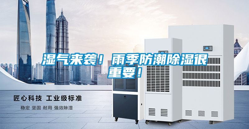 濕氣來(lái)襲！雨季防潮除濕很重要！