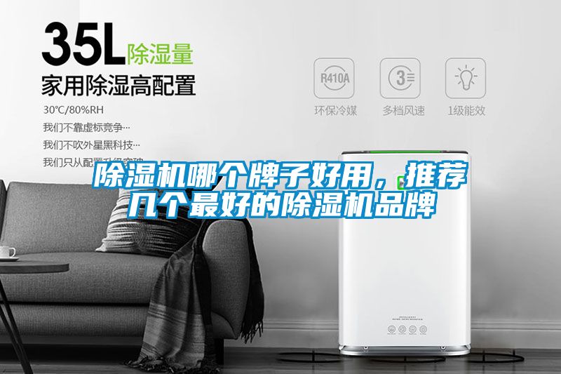 除濕機哪個(gè)牌子好用，推薦幾個(gè)最好的除濕機品牌