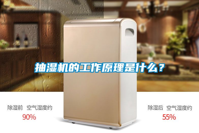 抽濕機的工作原理是什么？