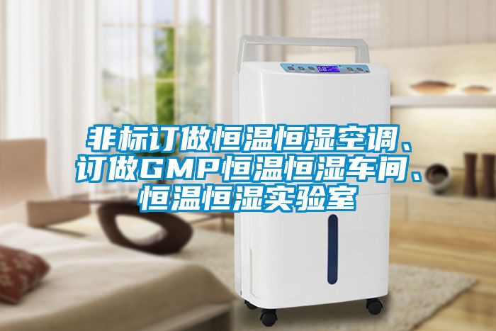 非標訂做恒溫恒濕空調、訂做GMP恒溫恒濕車(chē)間、恒溫恒濕實(shí)驗室