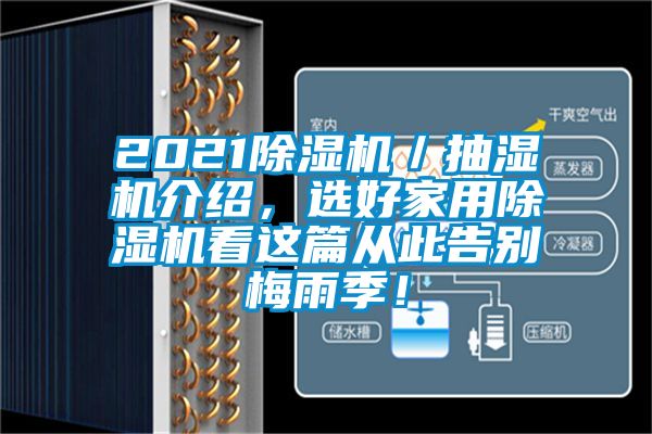 2021除濕機／抽濕機介紹，選好家用除濕機看這篇從此告別梅雨季！