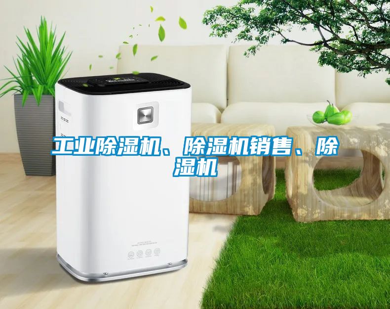 工業(yè)除濕機、除濕機銷(xiāo)售、除濕機