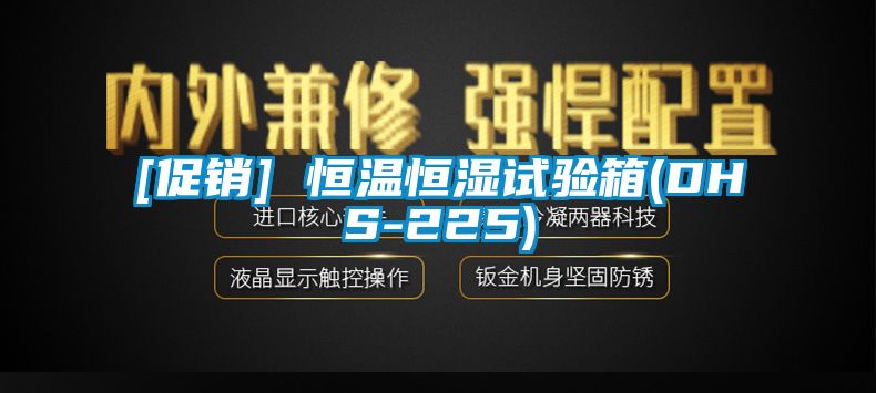 [促銷(xiāo)] 恒溫恒濕試驗箱(DHS-225)