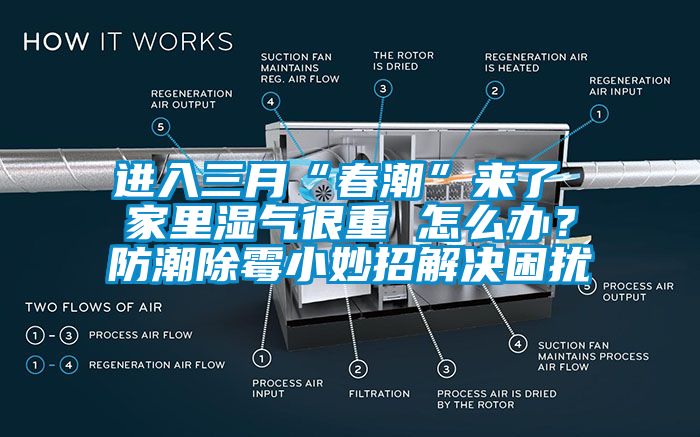 進(jìn)入三月“春潮”來(lái)了 家里濕氣很重 怎么辦？防潮除霉小妙招解決困擾