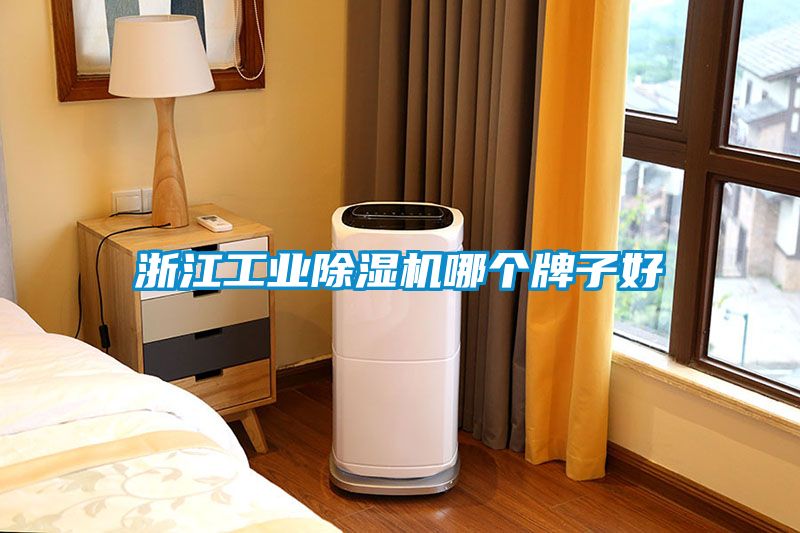 浙江工業(yè)除濕機哪個(gè)牌子好