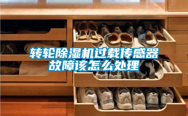 轉輪除濕機過(guò)載傳感器故障該怎么處理