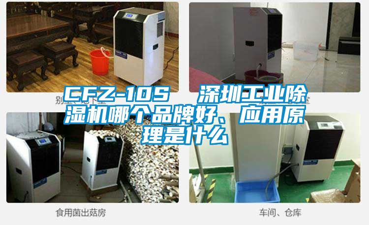 CFZ-10S  深圳工業(yè)除濕機哪個(gè)品牌好、應用原理是什么