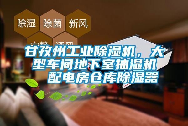 甘孜州工業(yè)除濕機，大型車(chē)間地下室抽濕機  配電房倉庫除濕器